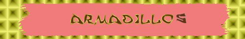Armadillos
