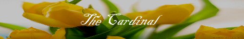 The Cardinal