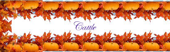 Cattle