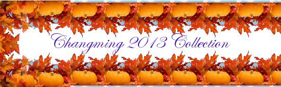 Fall 22013 C ollection