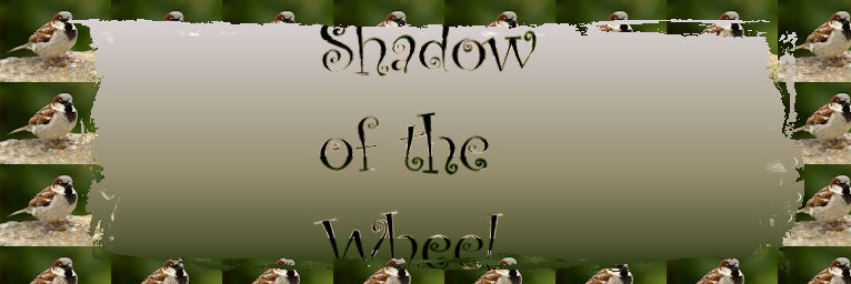 Shadow of the Wheel