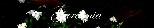 Gardenia