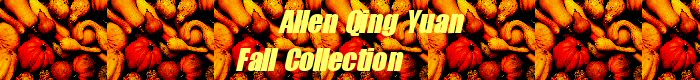 Allen Qing ~ Fall Collection